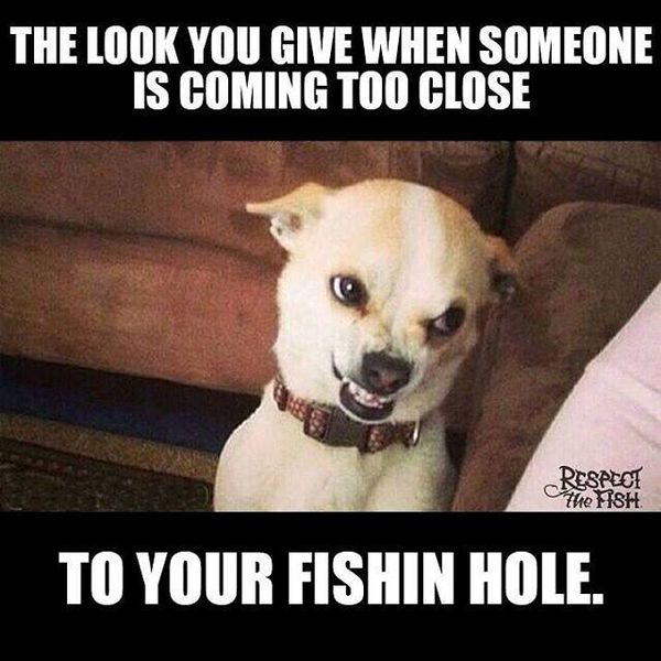 Funny silly fishing meme image