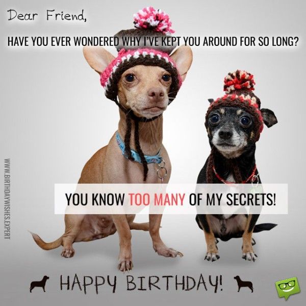 Hilarious birthday meme for friend with Wishes jokes