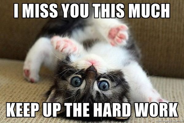 Hilarious pretty little kitty miss you meme jokes