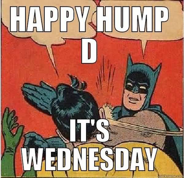 Hilarious wednesday hump day meme picture