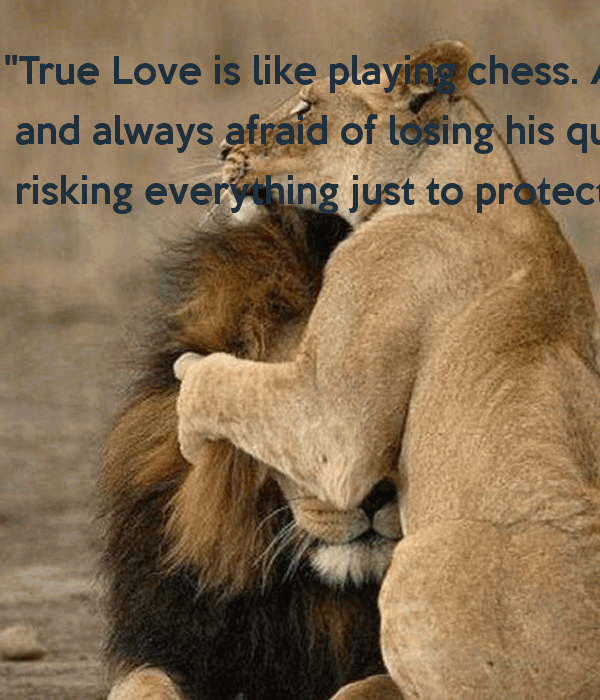 King And Queen Love Quotes 09