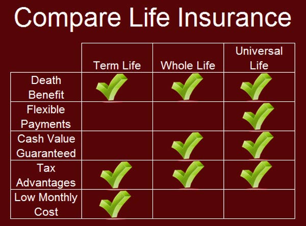 Life Insurance Comparison Quotes 20