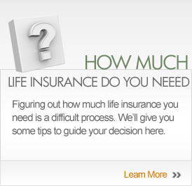 Life Insurance Policy Quote 13