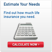Life Insurance Quote Calculator 17