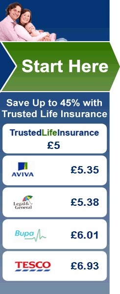 Life Insurance Quotes Calculator 07
