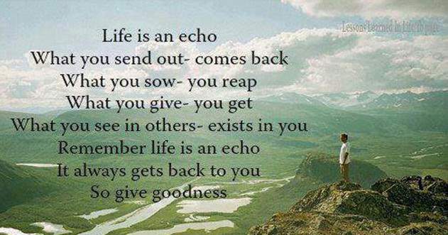 Life Is An Echo Quote 06