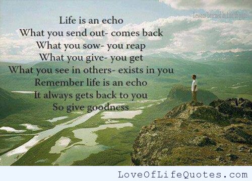 Life Is An Echo Quote 14