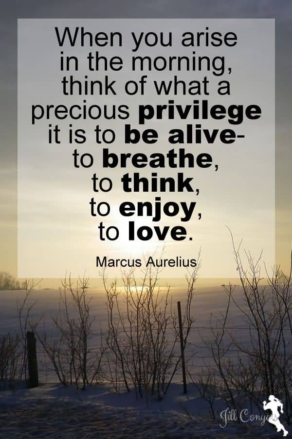 Life Is Precious Quotes 20