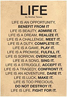Life Quote Poster 11