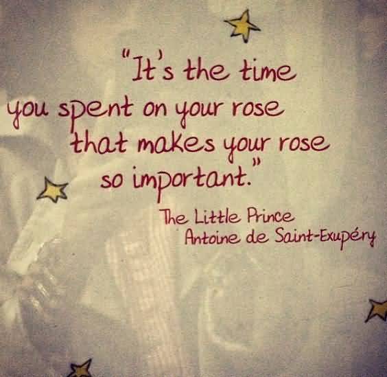 Little Prince Love Quotes 11