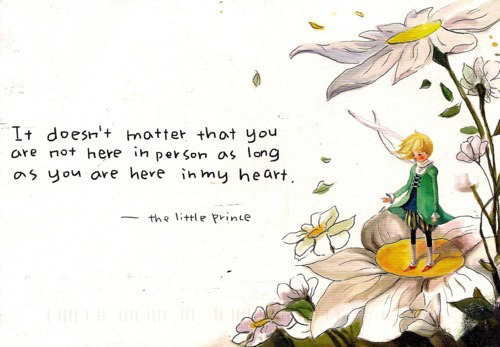 Little Prince Love Quotes 13
