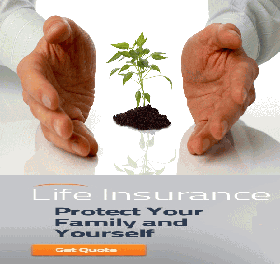 Long Term Life Insurance Quotes 08