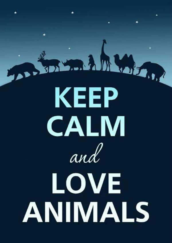 Love Animal Quotes 01