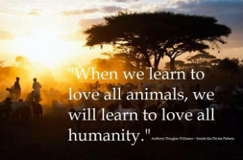 Love Animal Quotes 03