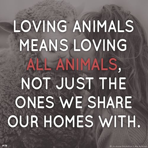 Love Animal Quotes 17