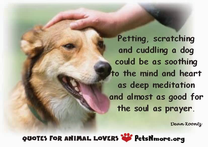 Love Animal Quotes 18