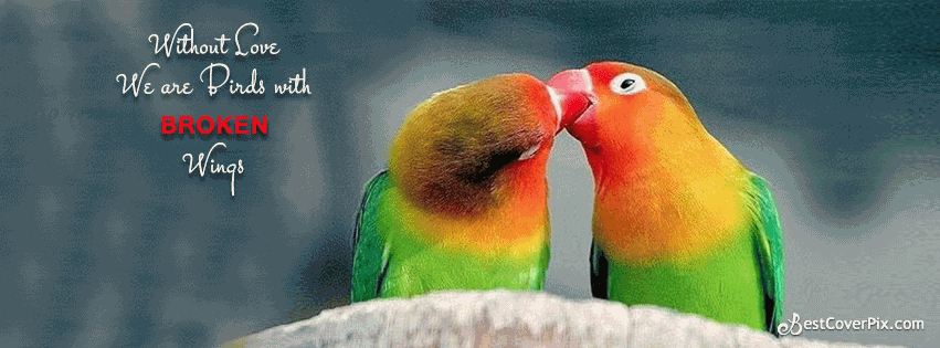 Love Bird Quotes 01