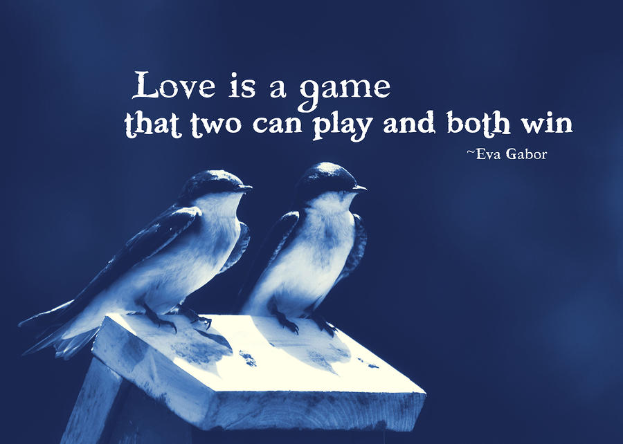 Love Bird Quotes 09