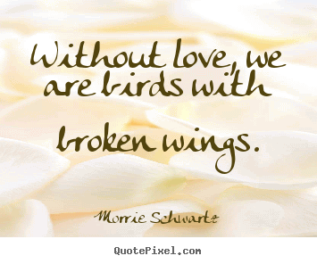 Love Bird Quotes 10