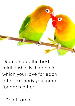 Love Bird Quotes 14