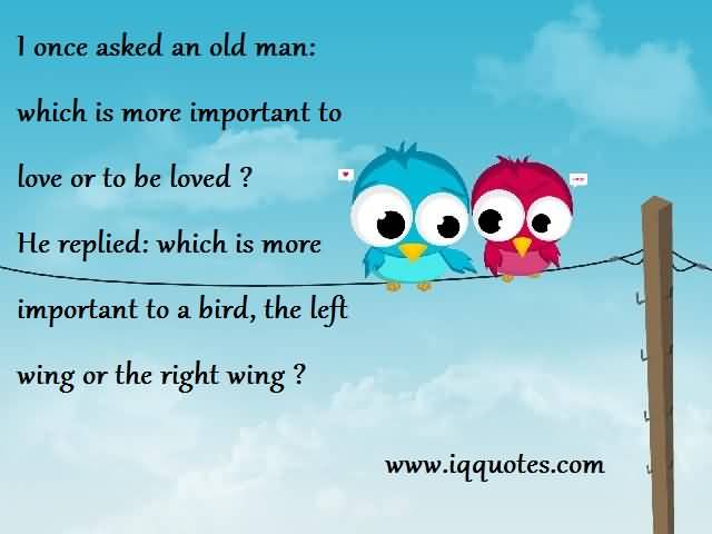 Love Bird Quotes 16