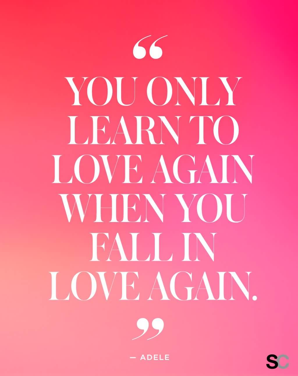 Love Is Quotes 15