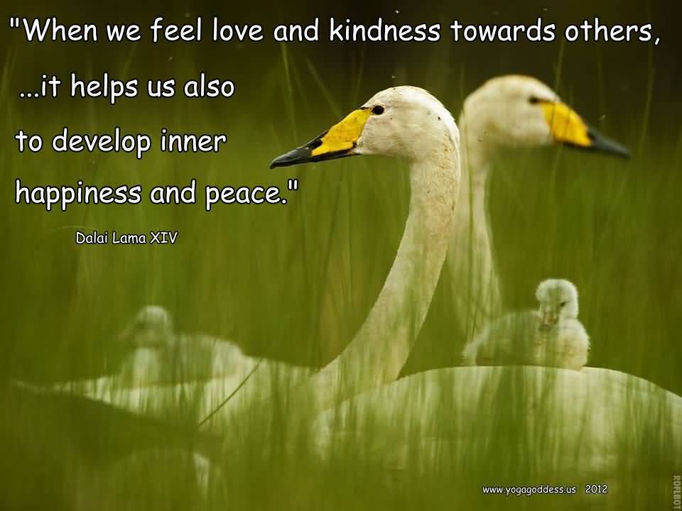 Loving Kindness Quotes 15