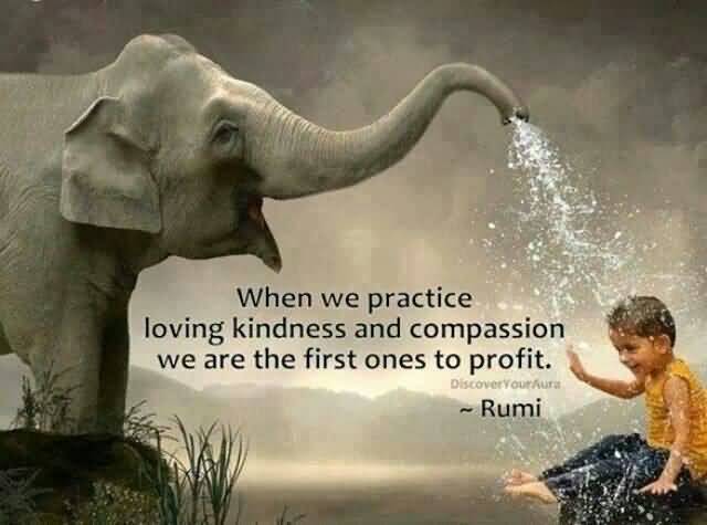 Loving Kindness Quotes 17