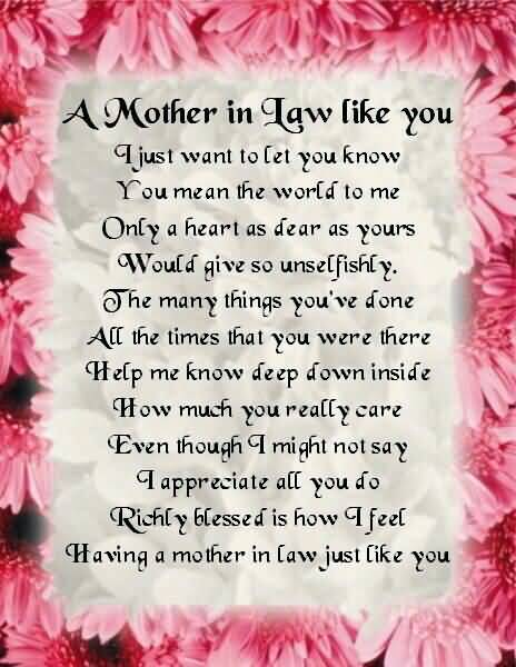 Loving Mother In Law Quotes 05