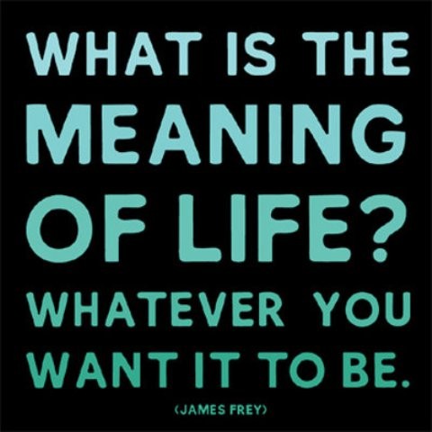 Meaning Of Life Quotes 04