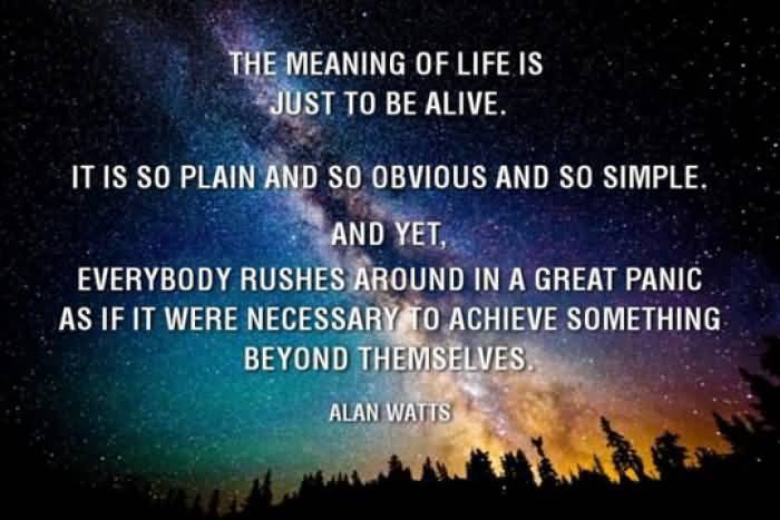 Meaning Of Life Quotes 18