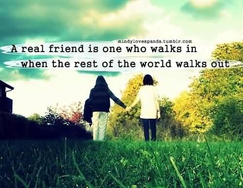 20 Meaningful Quotes About Friendship With HD Photos