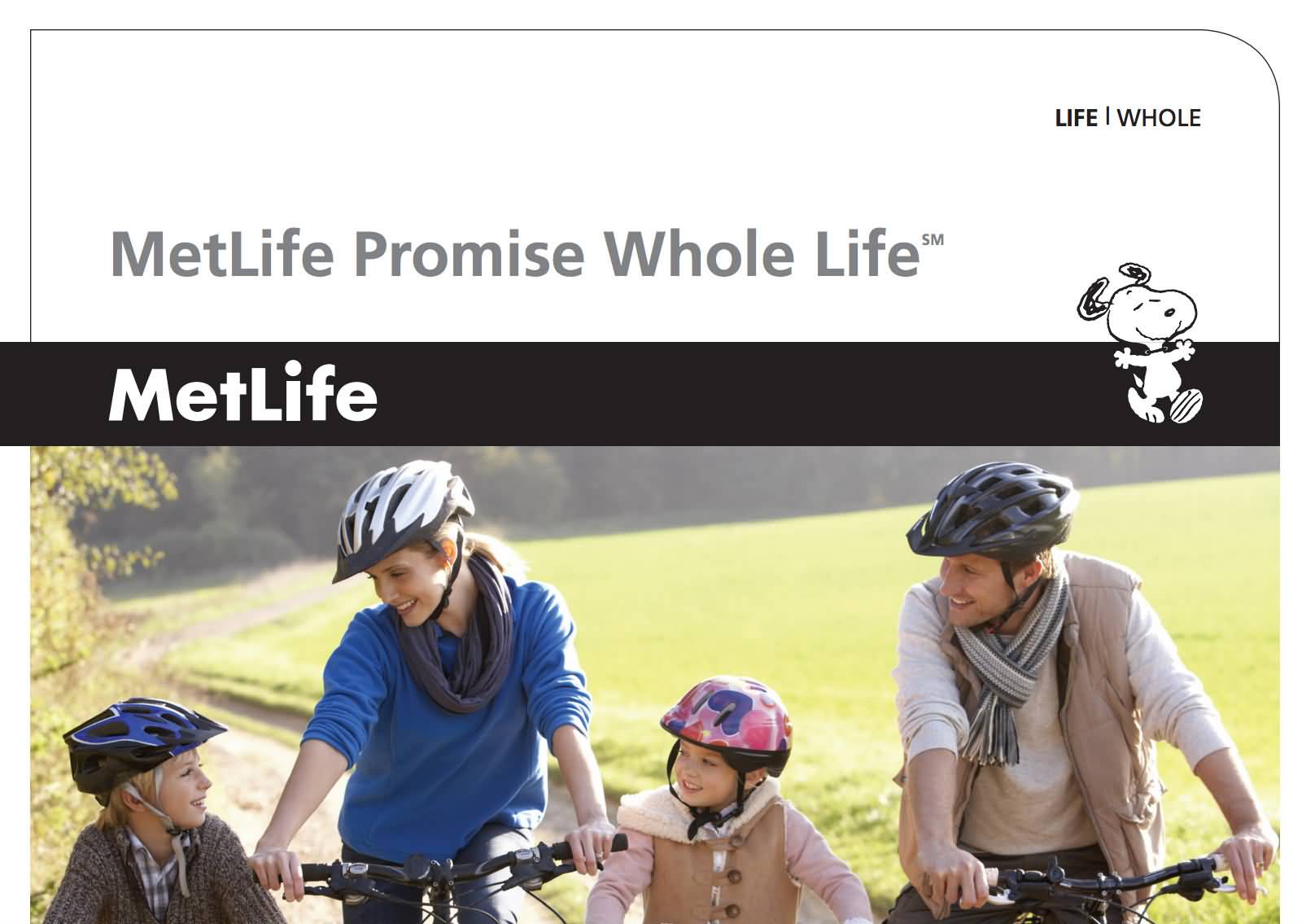 Metlife Life Insurance Quote 12