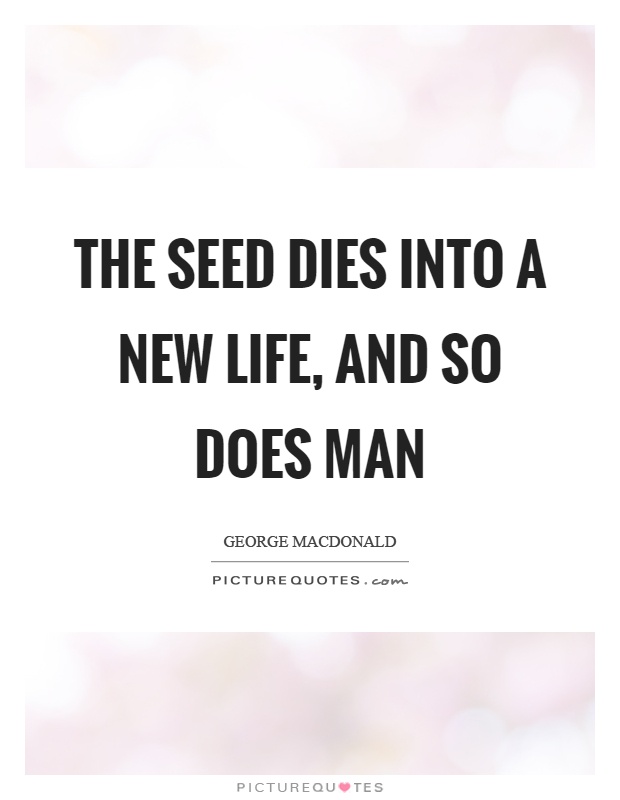 New Life Quote 06