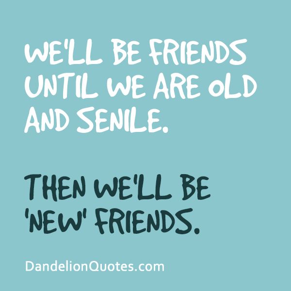 New Quotes About Friendship 15