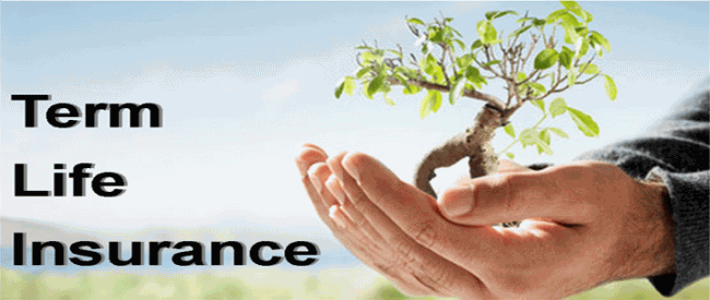 Online Term Life Insurance Quotes 12