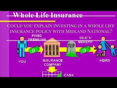 Online Whole Life Insurance Quotes 01