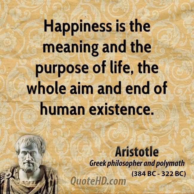 Philosophers Quotes On The Meaning Of Life 17