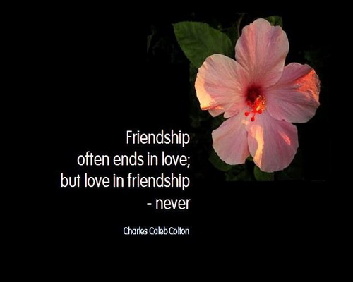 Popular Quotes About Friendship 03