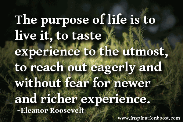 Purpose Of Life Quotes 17