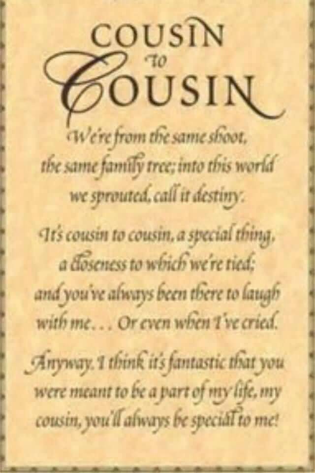 Quotes About Cousins Love 09