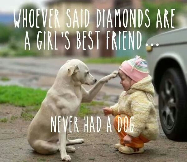 Quotes About Dog Friendship 01