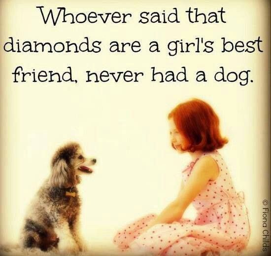 Quotes About Dog Friendship 10