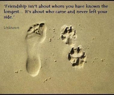 Quotes About Dog Friendship 11