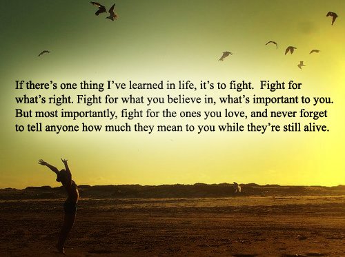 Quotes About Fighting For The One You Love 16