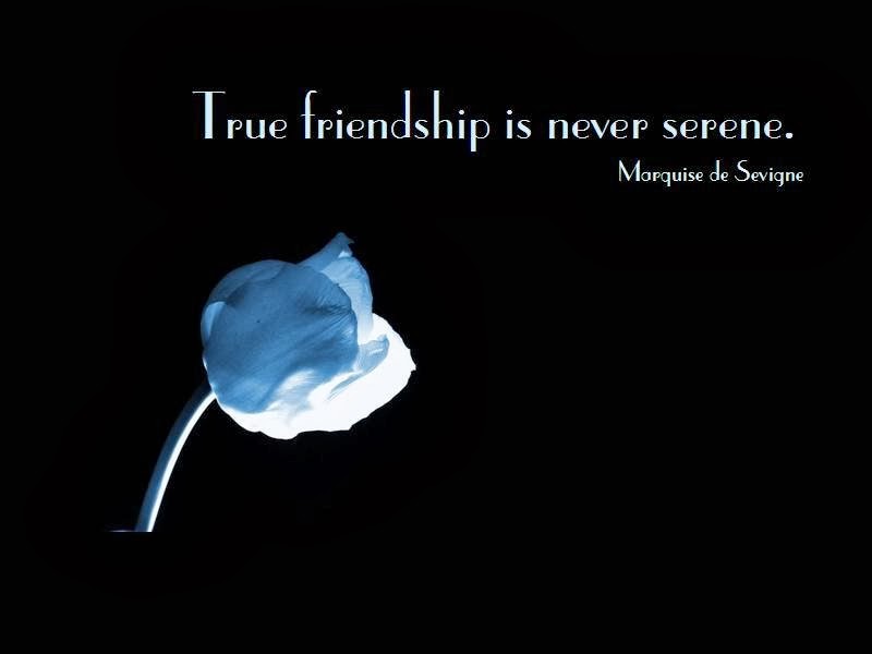 Quotes About Friendship By Famous Authors 12