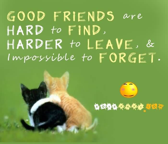 Quotes About Friendship Forever 02