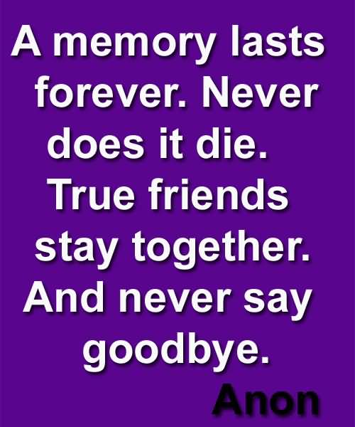 Quotes About Friendship Goodbye 07