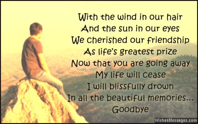 Quotes About Friendship Goodbye 19