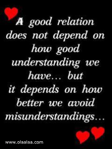 Quotes About Friendship Misunderstanding 08